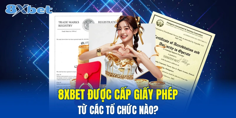 Tổng hợp giấy phép của đơn vị đang sở hữu 8XBET
